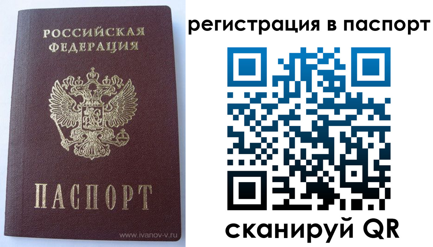 прописка поиск в Гаджиево